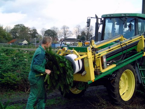 Innetten van bomen1